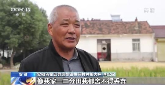 十八連豐！秋收近九成 我國糧食產(chǎn)能穩(wěn)步提升