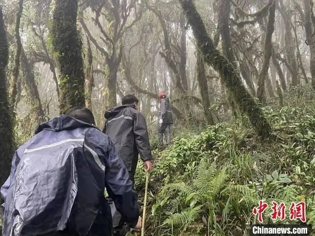 圖為救援現(xiàn)場。鎮(zhèn)沅縣委宣傳部提供