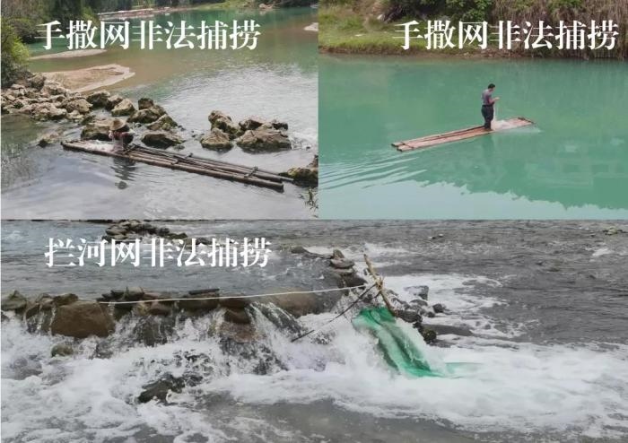 2021年9—10月，前期暗查發(fā)現(xiàn)，保護(hù)區(qū)核心區(qū)內(nèi)非法捕撈行為十分猖獗