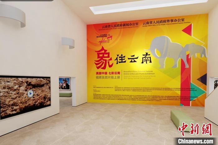 圖為“象”往云南——美麗中國(guó) 七彩云南視頻及圖片線上展截圖?！『h(yuǎn)航 攝