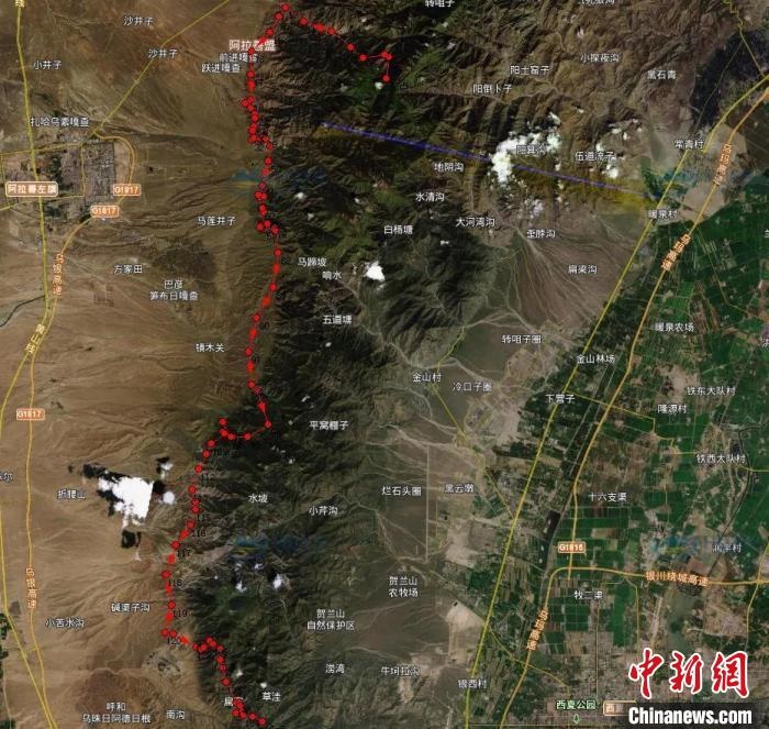 圖為雪豹在春節(jié)前后的活動軌跡。　內(nèi)蒙古賀蘭山國家級自然保護區(qū)供圖