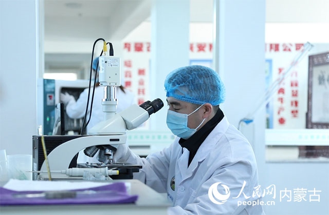內(nèi)蒙古中農(nóng)興安種?？萍加邢薰韭鋺艨朴抑衅欤瑸槿馀．a(chǎn)業(yè)發(fā)展提供了優(yōu)質(zhì)的種源保障。白俊華攝