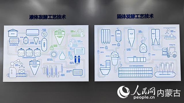 科拓生物工藝技術(shù)展示。人民網(wǎng)記者 張雪冬攝