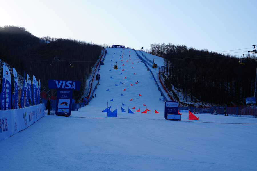 1765069643599561.png 圖片8.png