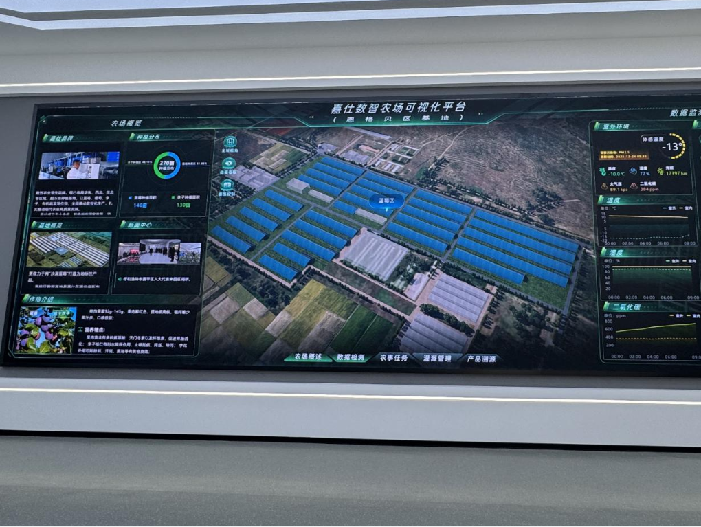 20260112嘉仕農(nóng)業(yè)藍莓栽培科技示范基地數(shù)智農(nóng)業(yè)可視化平臺新華網(wǎng).png
