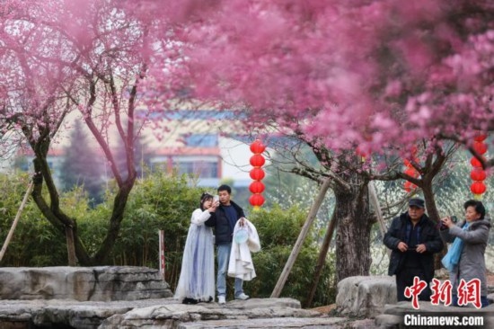 2月23日，市民在乾藝梅園景區(qū)觀賞綻放的梅花。瞿宏倫 攝