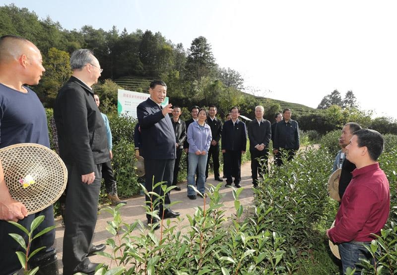 2021年3月22日，習(xí)近平總書記在福建南平武夷山市星村鎮(zhèn)燕子窠生態(tài)茶園，同科技特派員、茶農(nóng)親切交流，了解當(dāng)?shù)夭璁a(chǎn)業(yè)發(fā)展情況。