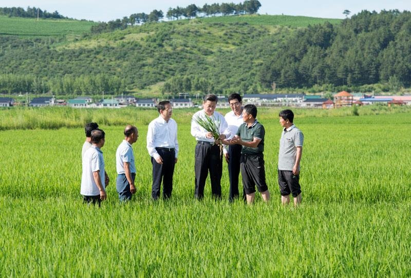 2015年7月16日，習(xí)近平總書記在吉林延邊州光東村稻田同村民和農(nóng)技人員交流。
