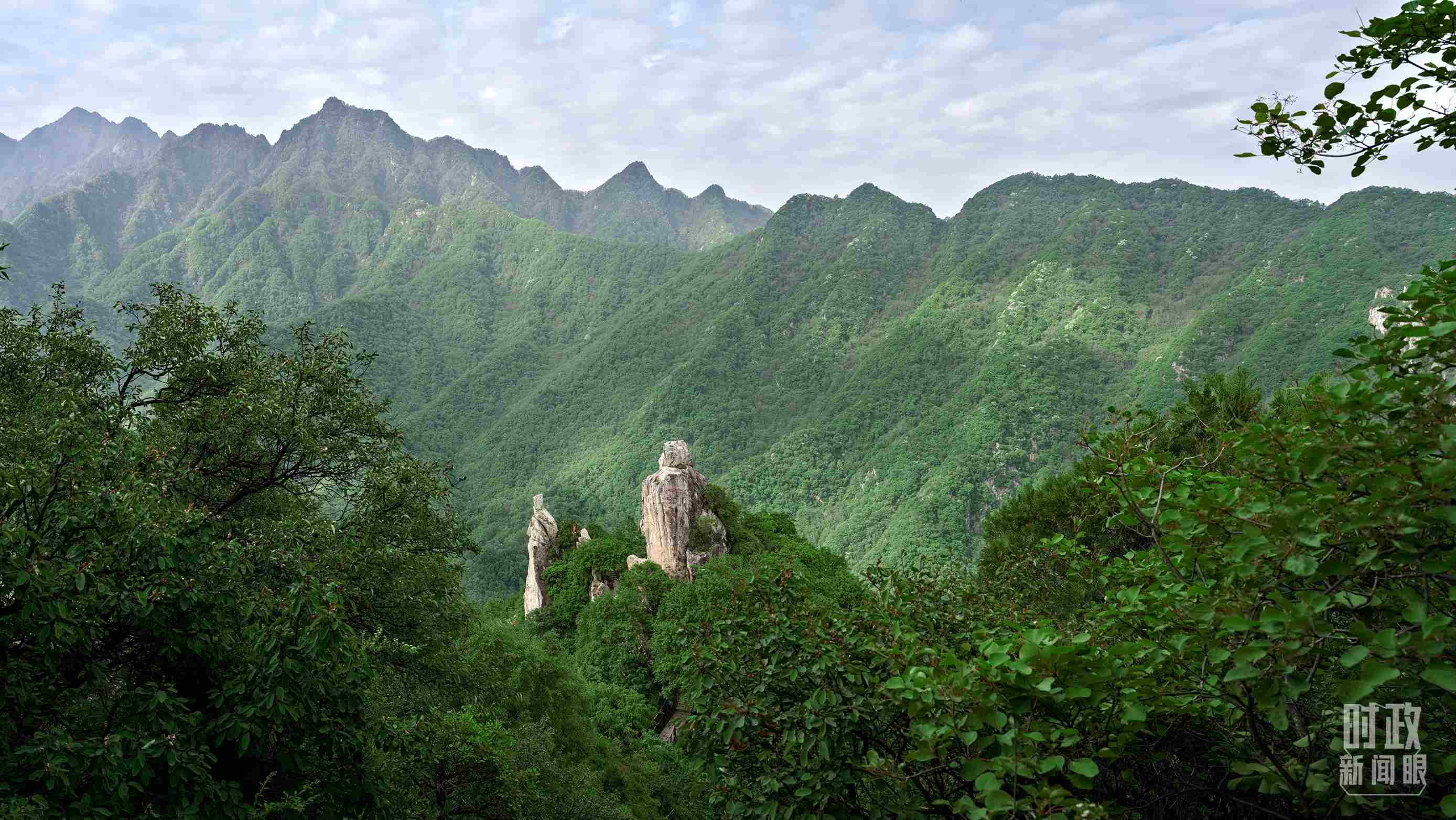 △秦嶺。（圖／視覺中國）