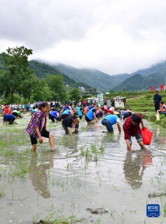 5月27日，秭歸縣九畹溪鎮(zhèn)農(nóng)民參加摸魚比賽。