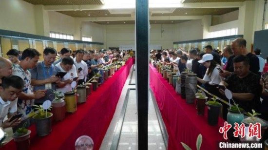 圖為活動現(xiàn)場。 云南省委臺辦供圖