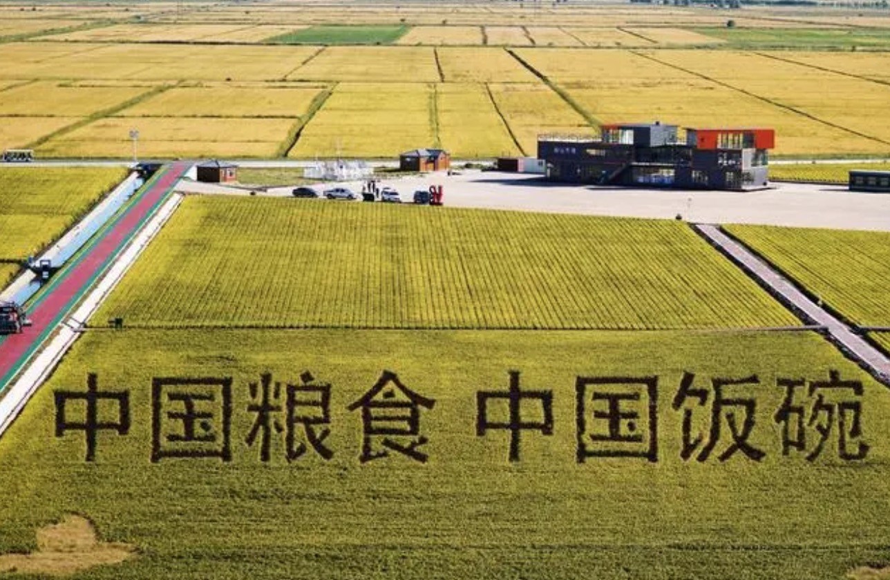 2022年9月2日，黑龍江省富錦市萬畝水稻科技示范園內(nèi)的稻田畫。