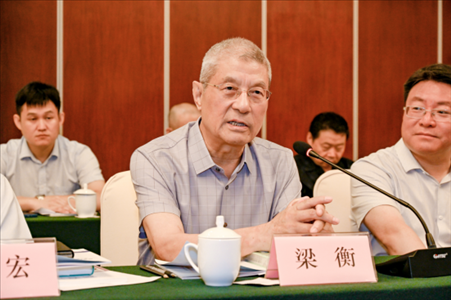 中國林業(yè)生態(tài)作家協(xié)會(huì)名譽(yù)主席梁衡發(fā)言。主辦方供圖