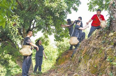 村民幫助志愿者爬上山坡。