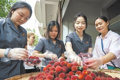 志愿者和村民一起將摘下的楊梅裝進(jìn)食品盒里。