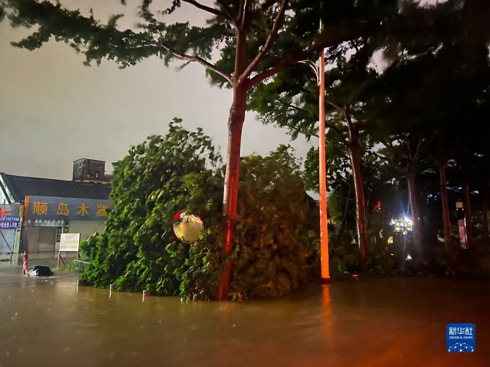 7月17日晚，在廣東湛江海濱大道北，路邊的樹木被風(fēng)刮倒（手機照片）。新華社記者 鄧華 攝