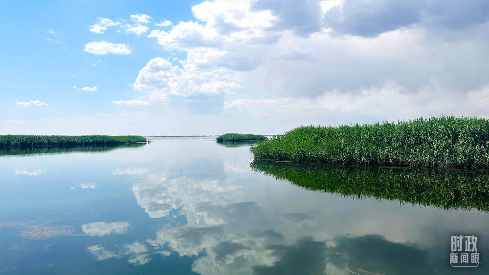 內(nèi)蒙古烏梁素海，是黃河流域最大的湖泊濕地。（總臺(tái)央視記者范一鳴拍攝）