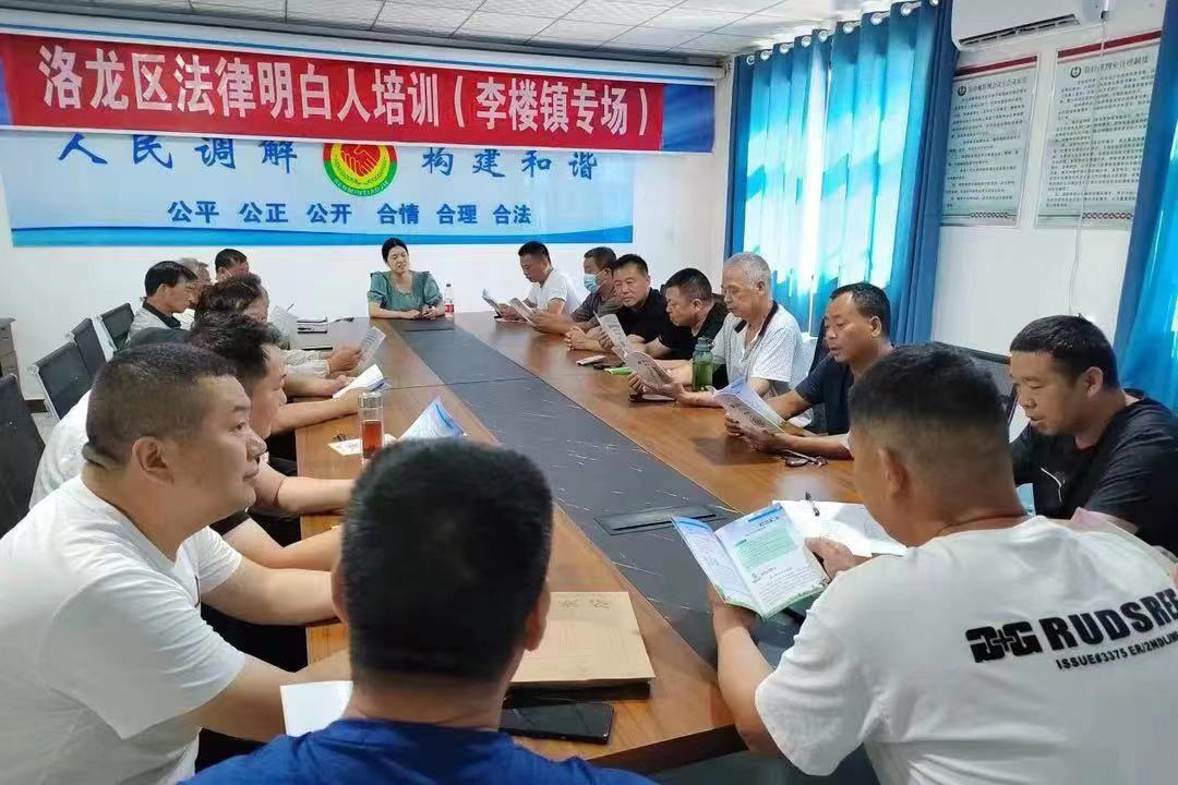 河南省洛陽市洛龍區(qū)李樓司法所開展《民法典》專題普法講座暨“法律明白人”培訓(xùn)。河南省司法廳供圖