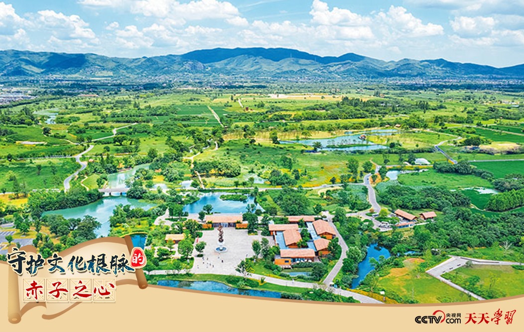 圖為2021年7月拍攝的良渚古城遺址公園。