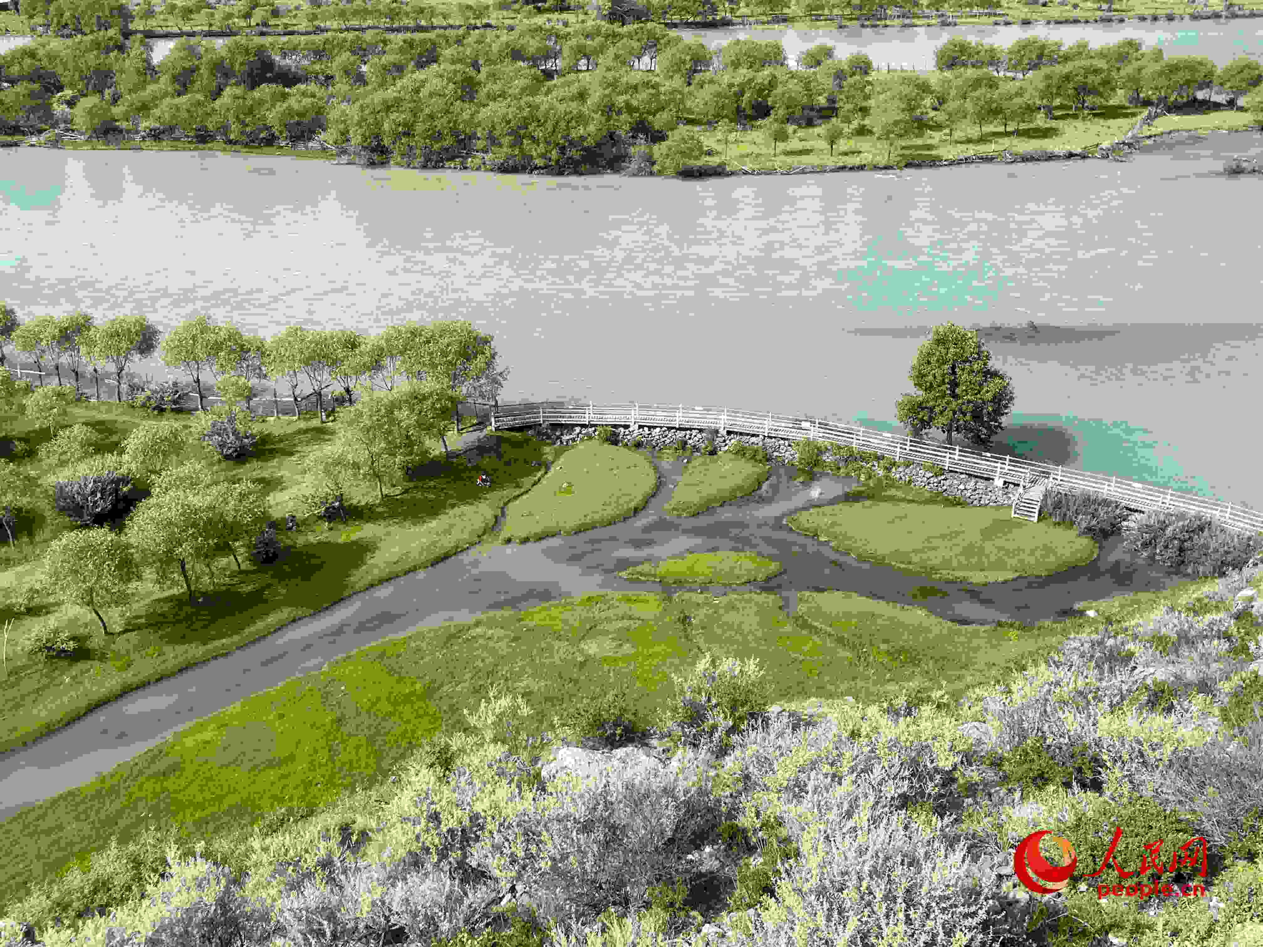 夏日的雅尼國家濕地公園生機盎然，如詩如畫。人民網(wǎng) 周靜圓攝