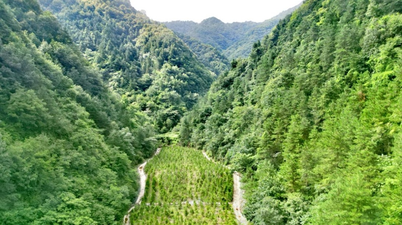 建設(shè)中的西氣東輸三線中段。受訪者供圖