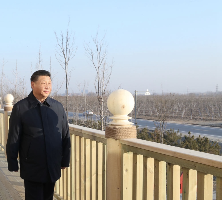 2019年1月16日，習(xí)近平在河北雄安新區(qū)考察調(diào)研。在“千年秀林”大清河片林一區(qū)造林區(qū)域，習(xí)近平登上秀林驛站二層平臺(tái)遠(yuǎn)眺林區(qū)全貌。