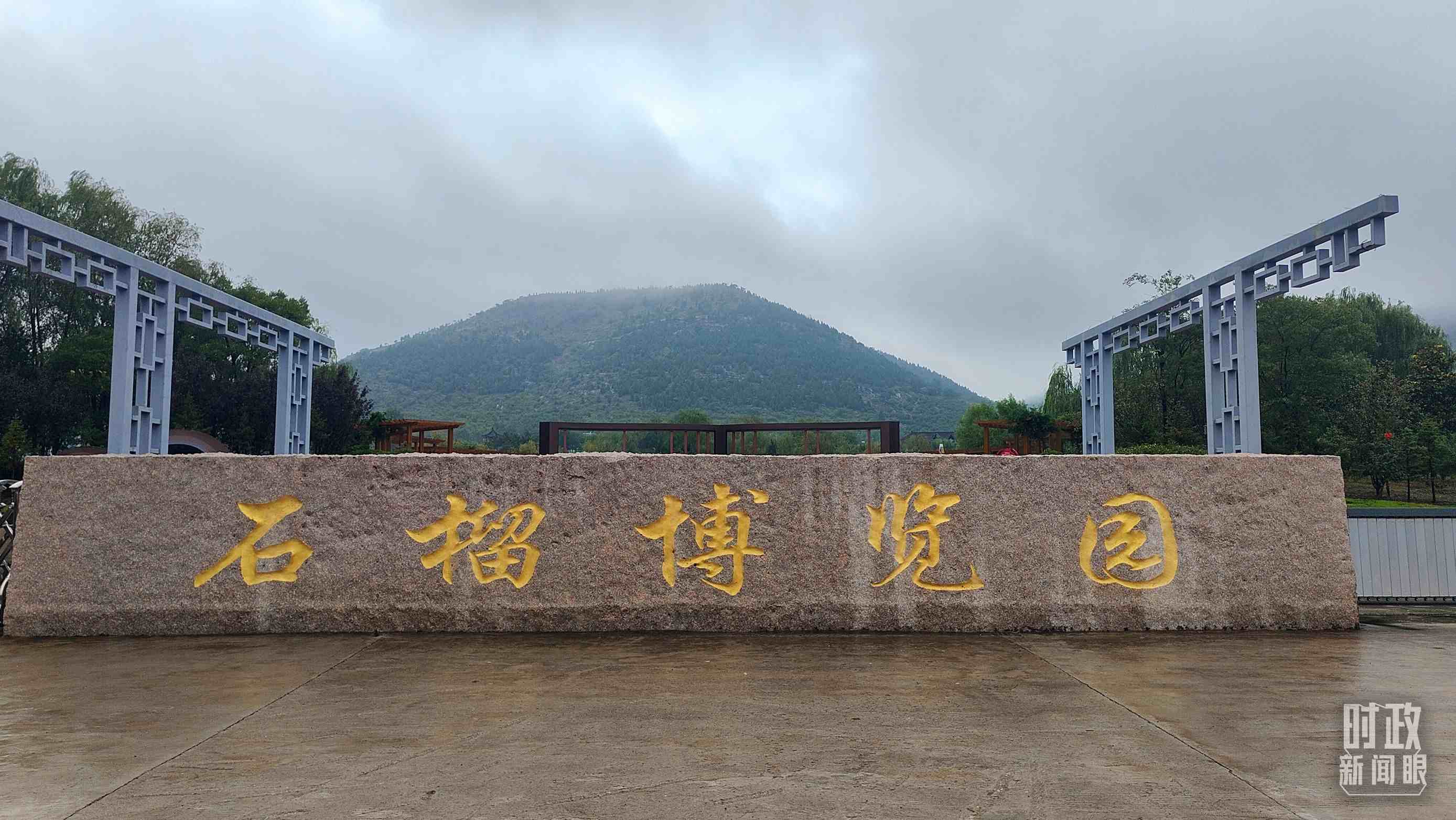 △石榴種質(zhì)資源庫(kù)位于石榴博覽園內(nèi)。（總臺(tái)央視記者楊立峰拍攝）