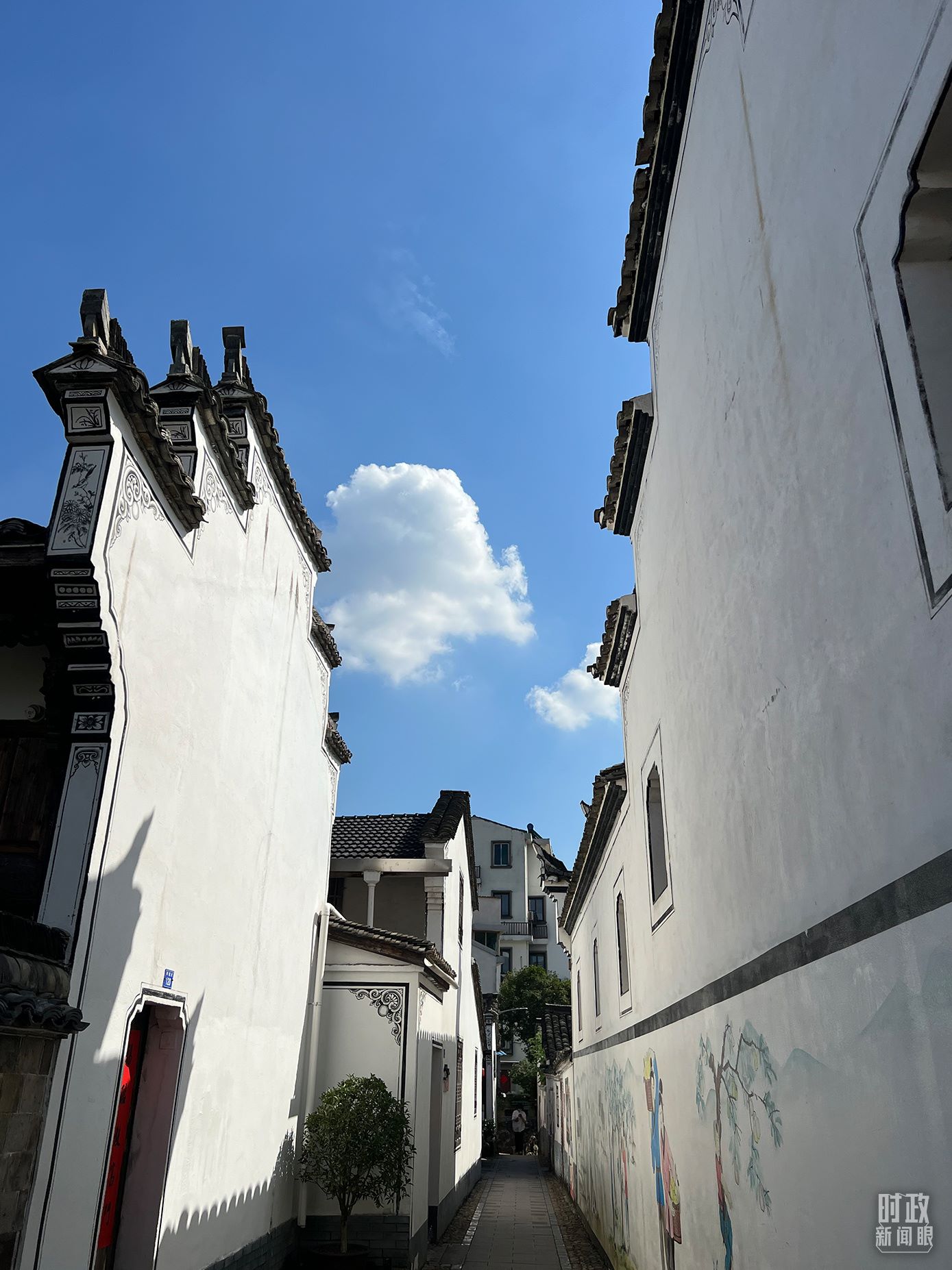 △浙江省金華市義烏市后宅街道李祖村。（總臺(tái)央視記者李煒拍攝）