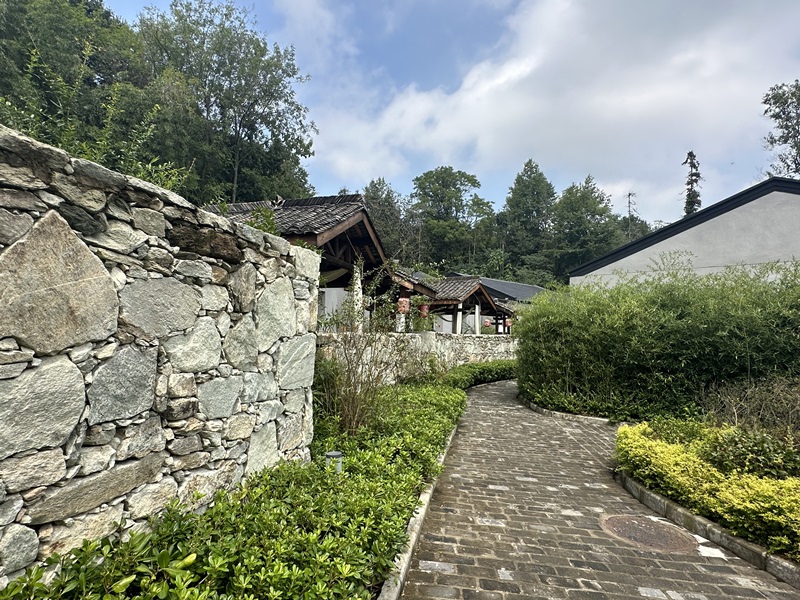 眾多民宿坐落于夫子山山麓。人民網(wǎng) 王紹紹攝
