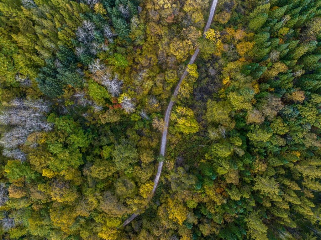 綠意盎然的長白山地區(qū)。王哲攝