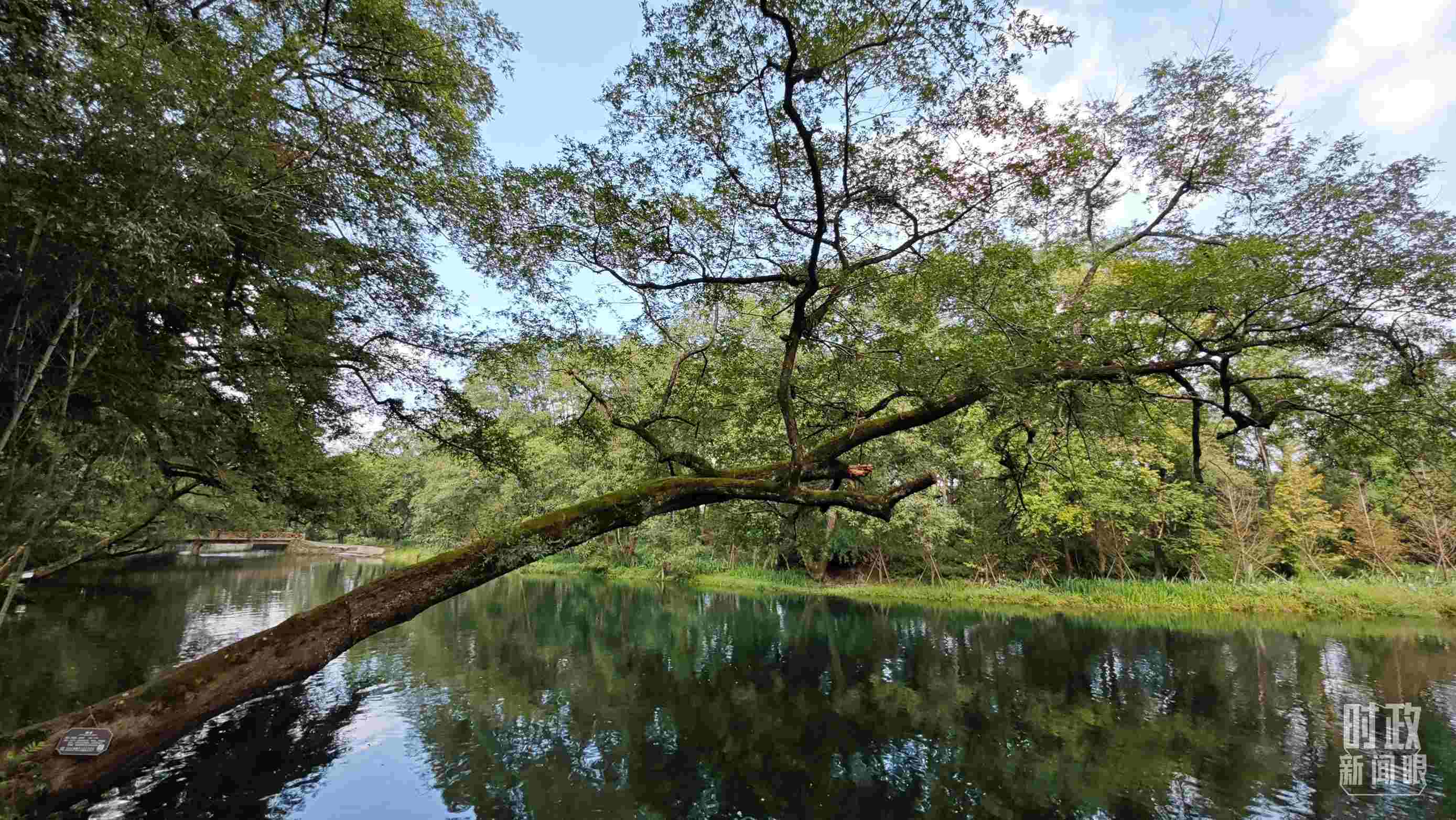 △饒河源國(guó)家濕地公園。（總臺(tái)央視記者郁振一拍攝）
