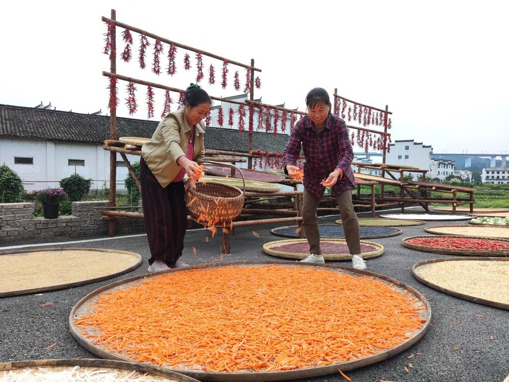 近日，江西省上饒市婺源縣秋口鎮(zhèn)王村的村民正在晾曬農(nóng)作物。新華社記者 劉佳敏 攝