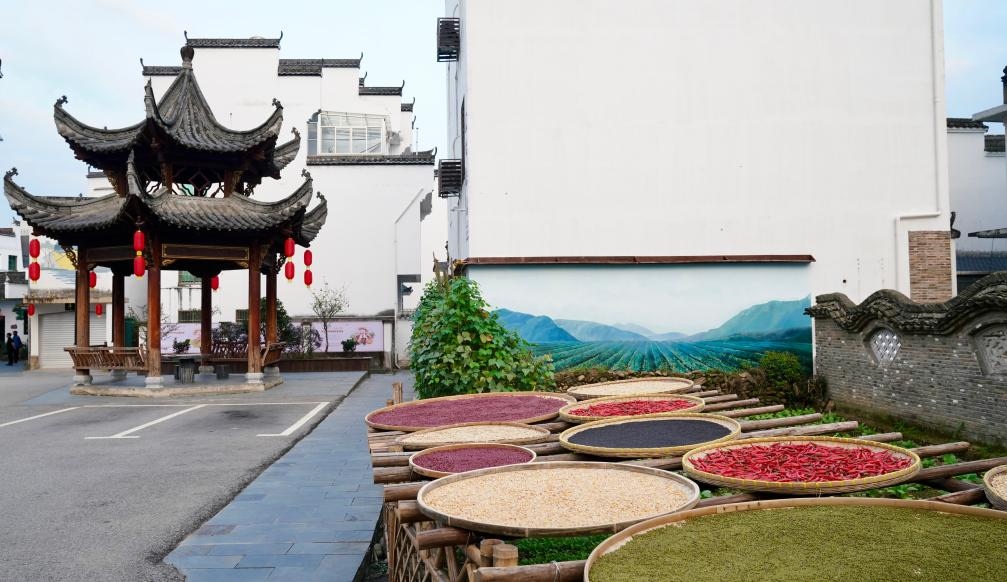 近日拍攝的江西省上饒市婺源縣秋口鎮(zhèn)王村石門自然村曬秋場(chǎng)景。新華社記者 胡晨歡 攝