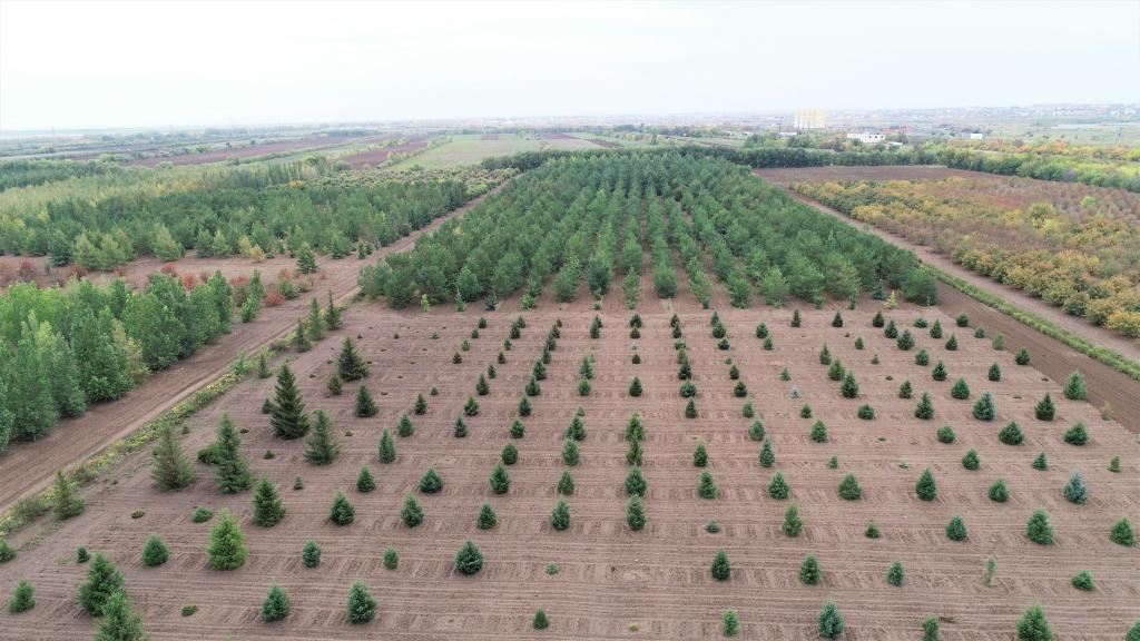 這是2023年9月11日在哈薩克斯坦首都阿斯塔納拍攝的一處植物種質(zhì)資源苗圃（無人機(jī)照片）。新華社發(fā)（法爾哈特·圖克諾夫 攝）