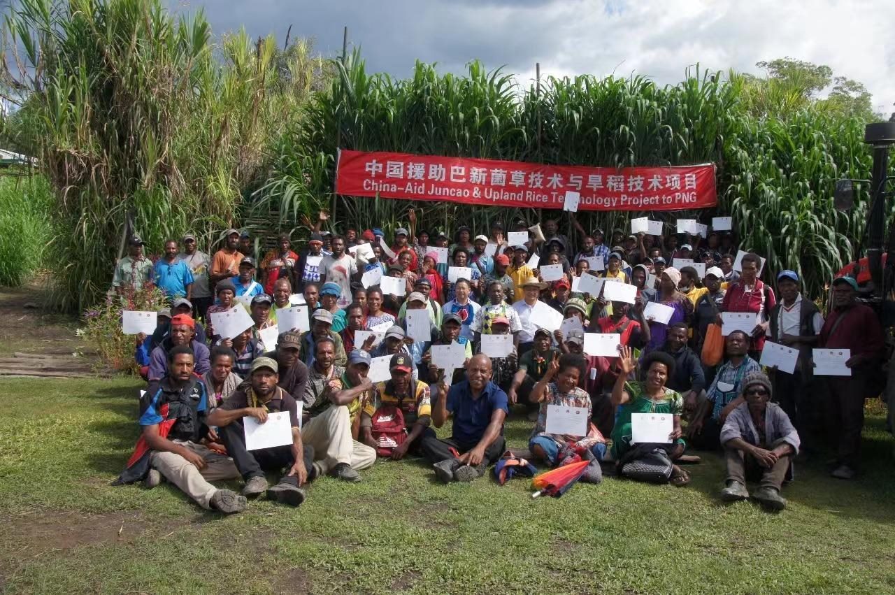 △2020年12月17日，在巴布亞新幾內(nèi)亞?wèn)|高地省，參加中國(guó)援助巴新菌草和旱稻技術(shù)項(xiàng)目第9期培訓(xùn)班的當(dāng)?shù)孛癖娬故窘Y(jié)業(yè)證書(shū)。