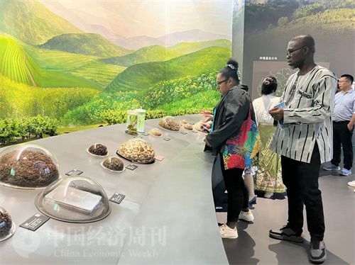  （在中國(guó)藥都中醫(yī)藥博物館，外媒記者了解中醫(yī)藥發(fā)展史。中國(guó)經(jīng)濟(jì)周刊記者 郭志強(qiáng) 攝）