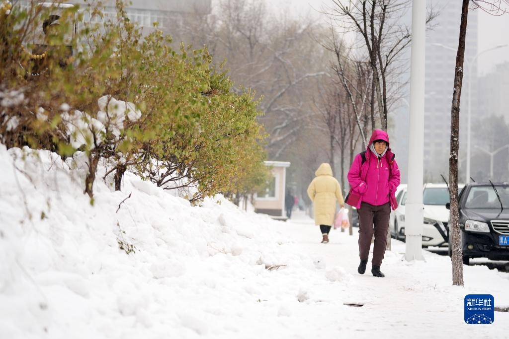 11月16日，市民在雪中前行。當(dāng)日，黑龍江哈爾濱市迎來(lái)雨雪天氣。新華社記者 王建威 攝