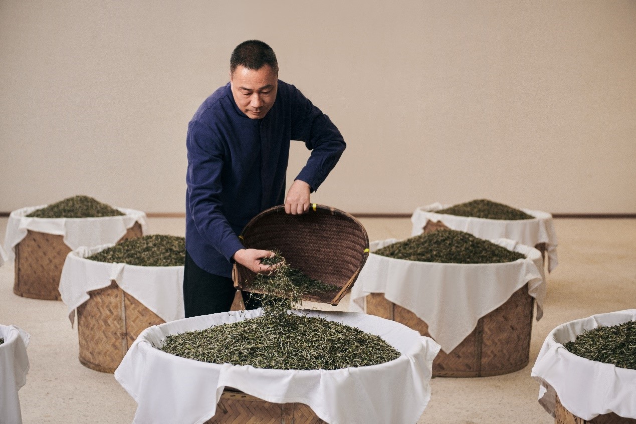 福鼎白茶制作技藝的省級代表性傳承人林振傳在制茶。受訪者供圖