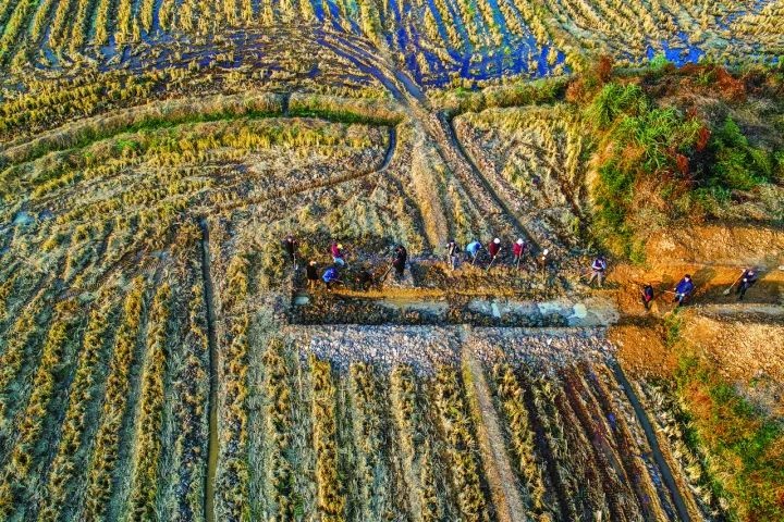 良渚遺址考古發(fā)掘現(xiàn)場。