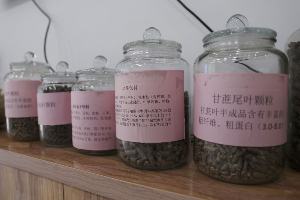 這是12月13日在來賓市興賓區(qū)小平陽鎮(zhèn)一家飼料廠拍攝的以甘蔗尾葉為原料制成的飼料。