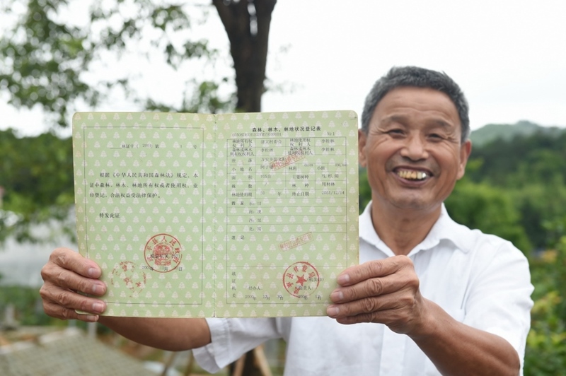 福建武平縣萬(wàn)安鎮(zhèn)捷文村村民李桂林展示林權(quán)改革后領(lǐng)到的全國(guó)第一本新式林權(quán)證。