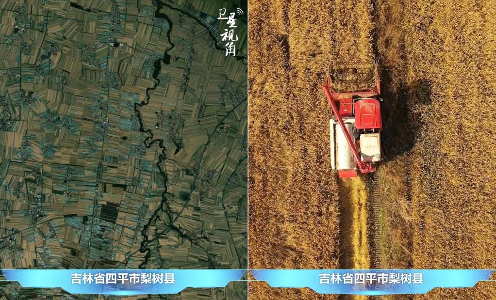 隨著現(xiàn)代化農(nóng)機(jī)普及應(yīng)用，保護(hù)性耕作“梨樹模式”得以大面積推廣，不僅使黑土地保護(hù)與利用持續(xù)深入，更為糧食作物高產(chǎn)穩(wěn)產(chǎn)助力。