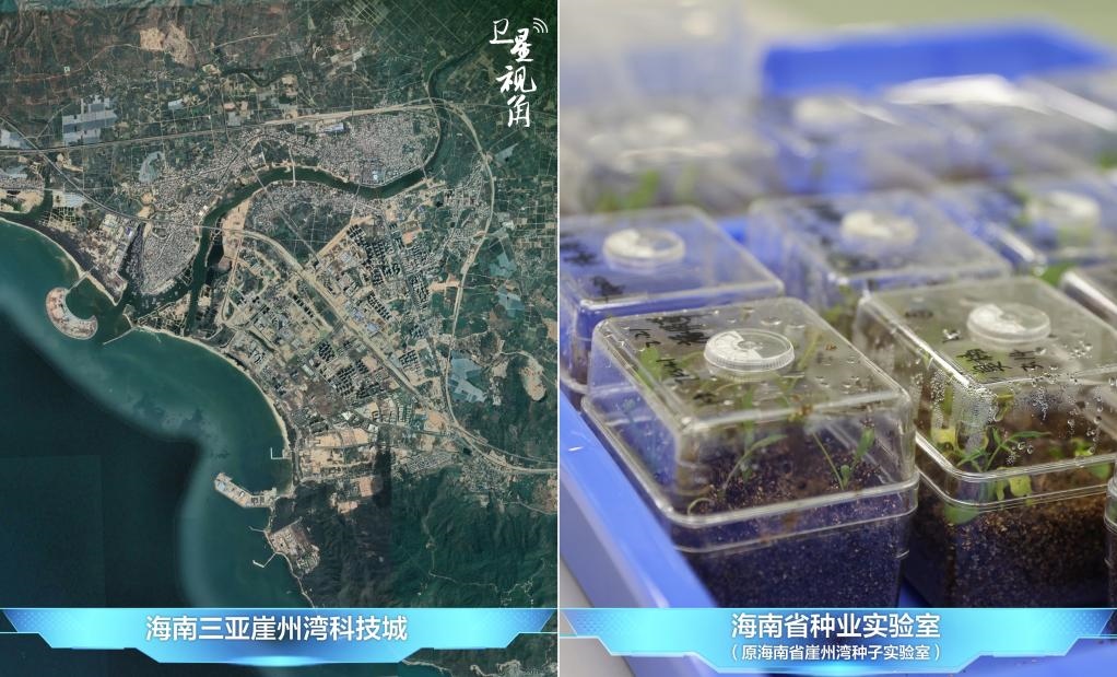 位于三亞崖州灣科技城的海南省種業(yè)實(shí)驗(yàn)室（原海南省崖州灣種子實(shí)驗(yàn)室）將形成輻射全國和“一帶一路”沿線國家的種子科學(xué)技術(shù)創(chuàng)新中心。