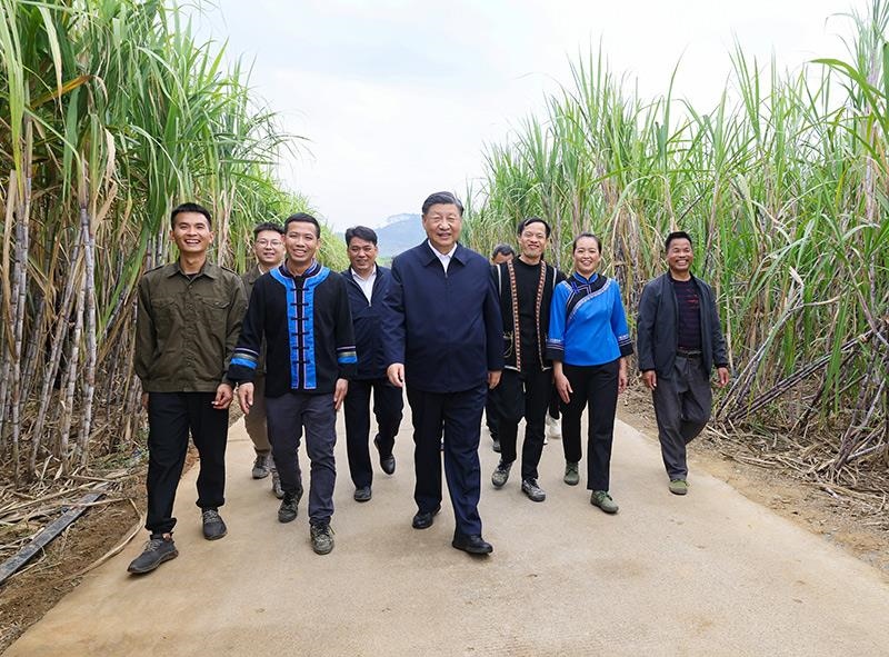 2023年12月14日，習(xí)近平總書記在廣西來賓市國家現(xiàn)代農(nóng)業(yè)產(chǎn)業(yè)園黃安優(yōu)質(zhì)“雙高”糖料蔗基地考察。