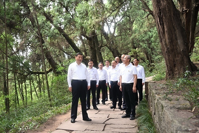 2023年7月25日，習近平總書記在四川廣元市劍閣縣翠云廊考察。新華社記者 謝環(huán)馳 攝