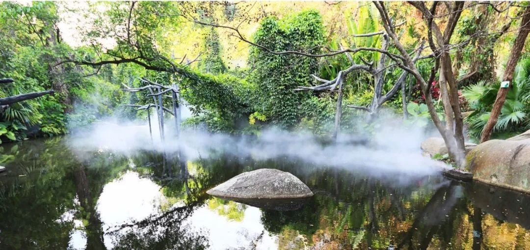 △鼓浪嶼-萬石山風(fēng)景名勝區(qū)重要組成部分廈門園林植物園熱門景點(diǎn)“雨林世界”。