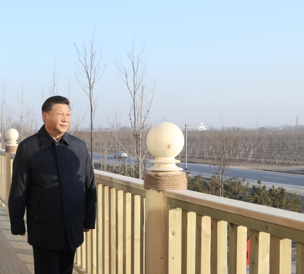 2019年1月16日，在河北雄安新區(qū)“千年秀林”大清河片林一區(qū)造林區(qū)域，習(xí)近平總書記登上秀林驛站二層平臺遠(yuǎn)眺林區(qū)全貌。新華社記者 鞠鵬 攝