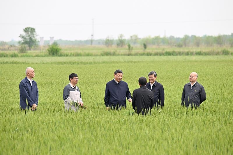 △2023年5月11日，習(xí)近平總書記在河北滄州黃驊市舊城鎮(zhèn)仙莊片區(qū)旱堿地麥田同種植戶、農(nóng)技專家親切交流。
