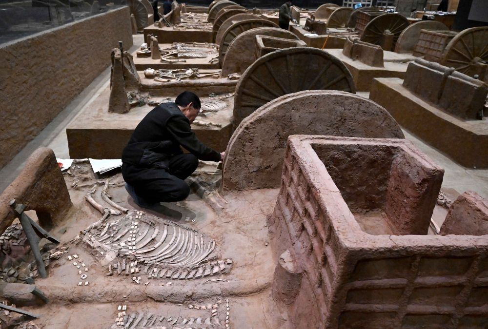 工作人員在殷墟博物館新館的展廳內(nèi)修復(fù)車馬遺跡（2月23日攝）。