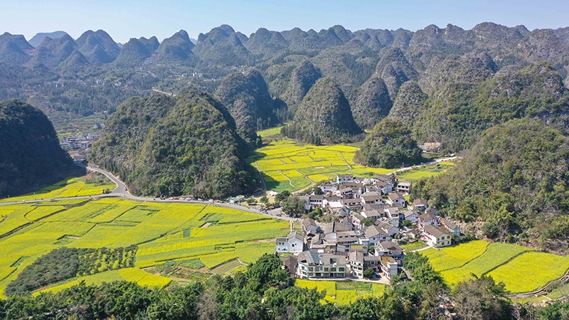 2024年2月17日，貴州省興義市萬峰林景區(qū)的油菜花海景色（無人機照片）。